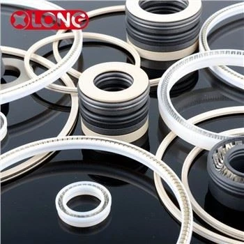 High Performance Spring Energized Lip Seals